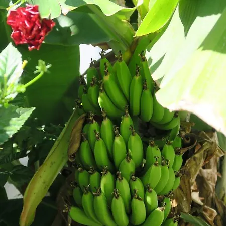 Гостевой дом Azul Sul