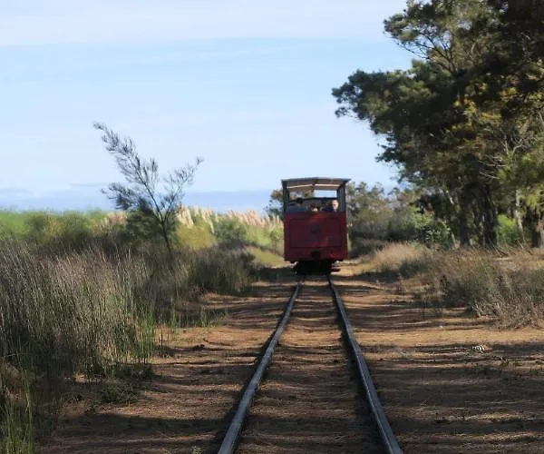 Azul Sul Gæstehus 3*