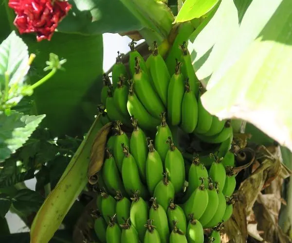 Maison d'hôtes Azul Sul